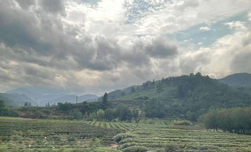 無火香薰